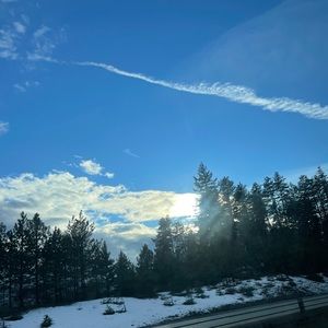 Meet your Posher, Avalon